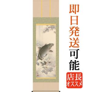 開運掛軸 (掛け軸) 大昇鯉 佐藤黙雲 （尺五立）約横54.5×縦190cm p9611