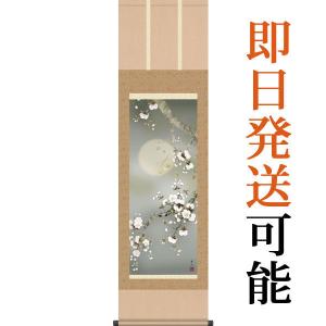 掛軸 (掛け軸) 春用 夜桜 緒方葉水 尺三立 約横44.5cm×縦164cm g4149 春 春掛 春掛け 花鳥 お祝い 御祝 贈答 贈り物