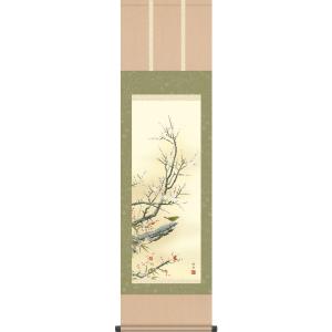 掛軸 (掛け軸) 春用 紅白梅に鶯 出口華凰 尺五立 約横59cm×縦190cm