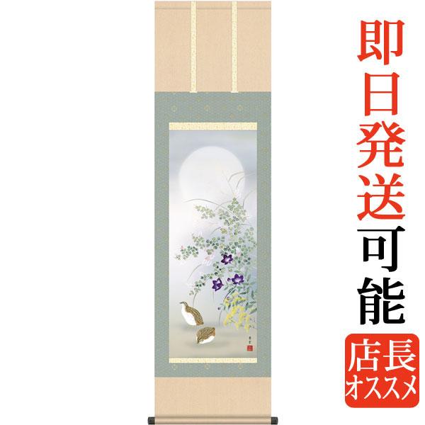 掛軸 (掛け軸) 秋用 秋草に鶉 茂木蒼雲 尺三立 約横44.5cm×縦164cm g4586 秋 ...