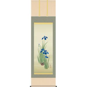 掛軸 掛け軸 本格ミニ掛軸 酒井抱一 柿に小禽図 約横28cm×縦90cm ミニ