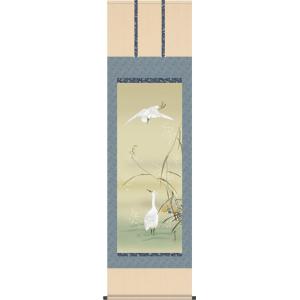 掛軸 掛け軸 本格ミニ掛軸 酒井抱一 柿に小禽図 約横28cm×縦90cm ミニ