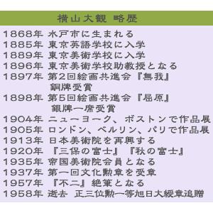 掛軸 掛け軸 和風モダン掛 富士と桜図 横山大...の詳細画像2