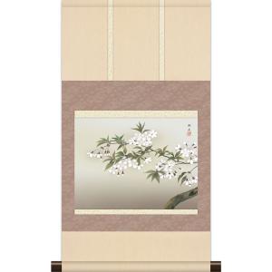 掛軸 掛け軸 本格ミニ掛軸 小林古径 尾長鳥 約横35cm×縦64cm