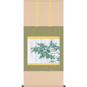 掛軸 (掛け軸) 冬用 椿に小鳥 高見蘭石 尺五横 約横54.5cm×縦115cm