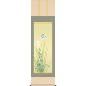 掛軸 掛け軸 本格ミニ掛軸 菱田春草 花あやめ 約横28cm×縦90cm