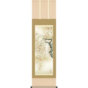 掛軸 (掛け軸) 春用 桜花爛漫 森山観月 尺三立 約横44.5cm×縦164cm g7119 KZ5MA2-129 春 春掛 春掛け 花鳥 さくら サクラ お祝い 御祝 贈答 贈り物｜yuinouyasan