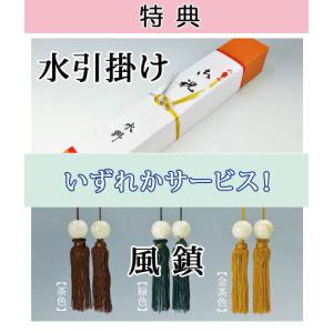 掛軸 (掛け軸) 旭日 田村竹世 尺三立 約横...の詳細画像5