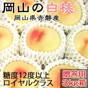 岡山の白桃 約3kg箱 贈答用 約10〜12玉 ロイヤルクラス 糖度12度以上!  （おかやま特選市場）(代引不可) フルーツ 果物 ギフト 贈り物 お中元 お祝い 高級桃｜yuinouyasan