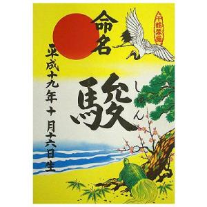 大判命名紙（結納屋さんの毛筆手書き命名書）