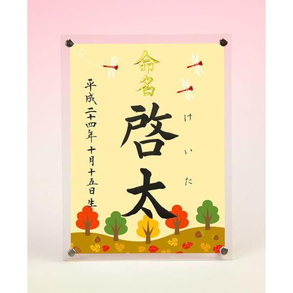 デザイン命名書 アクリルフレーム（赤トンボ）結納屋さんの毛筆手書き命名書