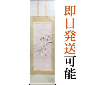 掛軸 (掛け軸) 春用 桜に小禽 北条静香 尺五立 約横54.5cm×縦190cm p9640 春 春掛 春掛け 花鳥 お祝い 御祝 贈答 贈り物｜yuinouyasan