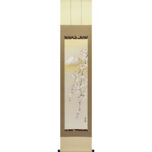 掛軸 (掛け軸) 冬用 椿に雀 浮田秋水 尺五立 約横54.5cm×縦190cm g7226