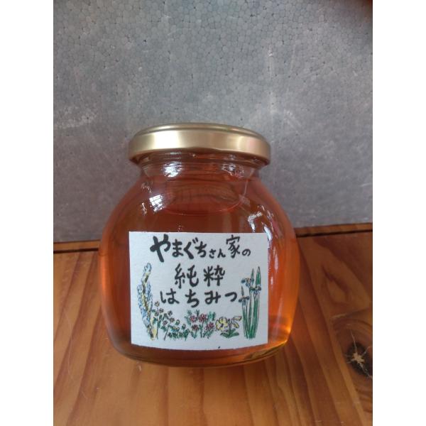 やまぐちさん家の純粋はちみつ230g