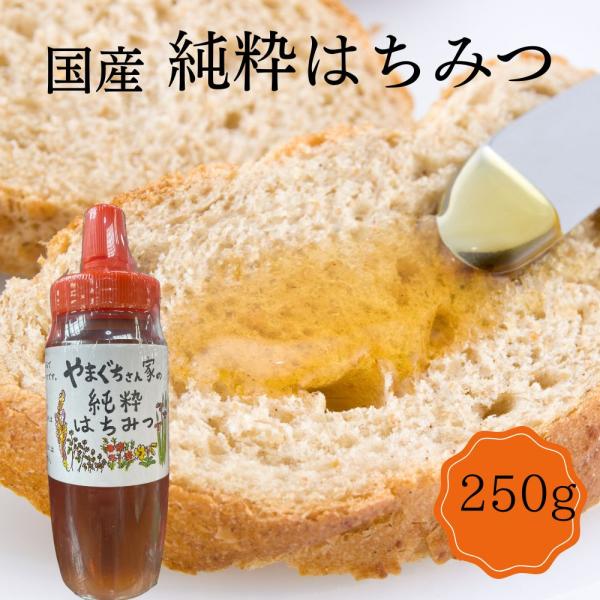 国産非加熱 やまぐちさん家の純粋はちみつ250g ボトルタイプ