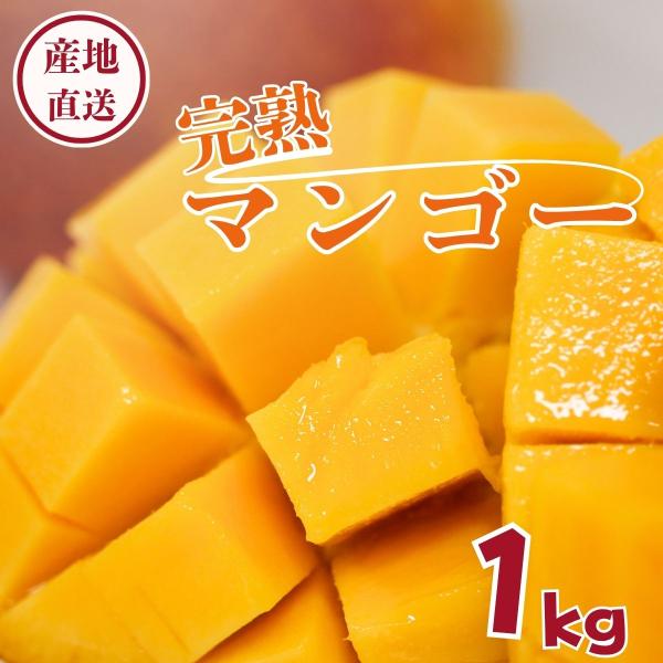 2026年7月〜発送　国頭産 完熟マンゴー１kg(２玉〜３玉)