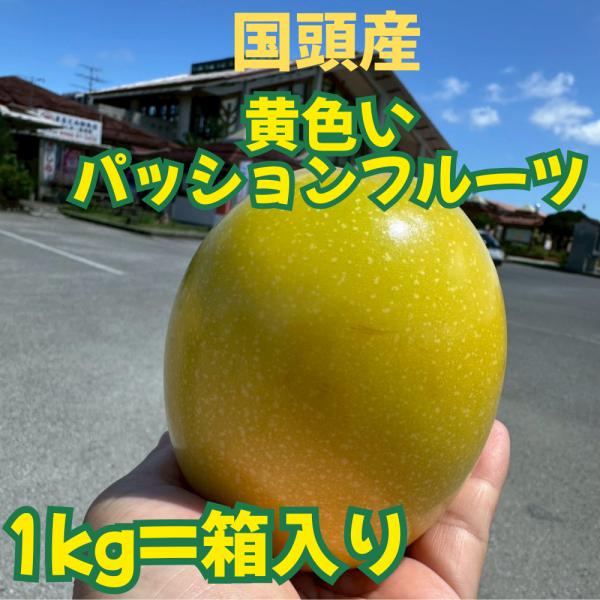 2026年5月下旬〜発送!!国頭産 夏の!イエローパッションフルーツ1kg（5個から7個）箱入り