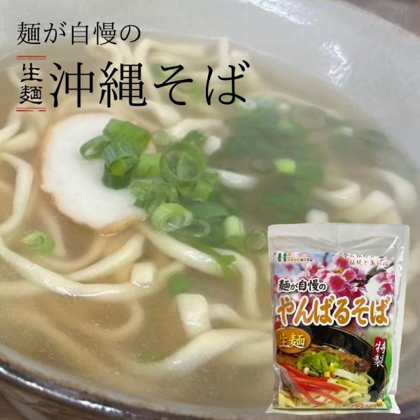 手軽に沖縄そばが食べれる 特製やんばるそば(生麺) 110g×2食
