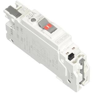 テンパール工業 15mA C2NA2015 パールテクト漏電ブレーカー20A パールテクト漏電ブレーカー