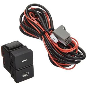 ビルトインスイッチ TSW017 データシステム Datasystem ホンダ用タイプC