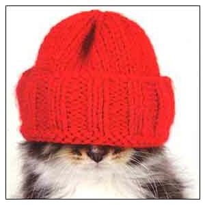 ミニカード クリスマスカード 帽子をかぶった猫 メッセージカード 封筒付き 白｜yujinia-yh