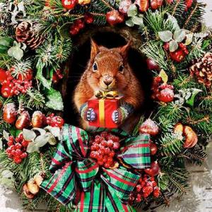 グリーティングカード クリスマスカード メッセージカード 封筒付き/白動物