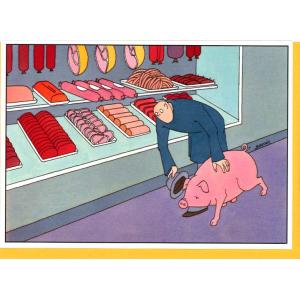 グリーティングカード 多目的 バルタック ブタさんへの気遣い 動物 豚 コミカル イラスト メッセージカード 封筒付き｜yujinia-yh