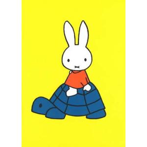 ポストカード イラスト ミッフィー ディック・ブルーナ ミッフィーと青いカメ 絵本 キャラクター 動...
