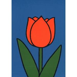ポストカード イラスト ミッフィー ディック・ブルーナ チューリップの花 絵本 キャラクター 赤い花...