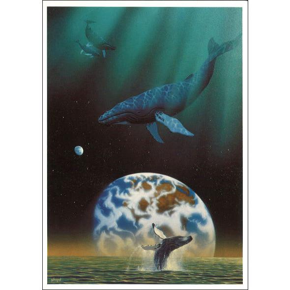 ポストカード アート シム・シメール クジラの空間 メッセージカード 郵便はがき