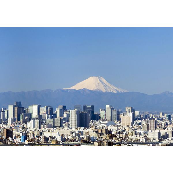 ポストカード カラー写真 日本風景シリーズ 東京からの富士山 105×150mm 観光地 名所 メッ...