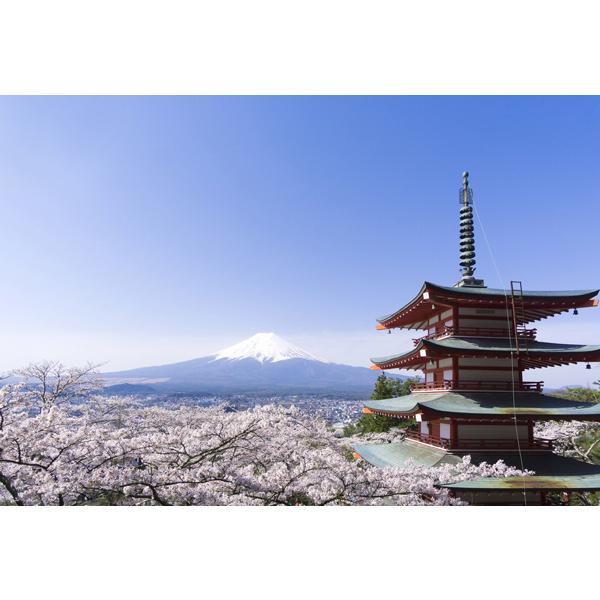 ポストカード カラー写真 日本風景シリーズ 五重の塔と富士山 105×150mm 観光地 名所 メッ...