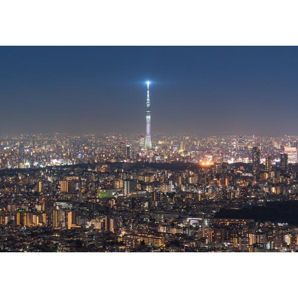 ポストカード カラー写真 日本風景シリーズ 東京の夜景・スカイツリー 105×150mm 観光地 名...