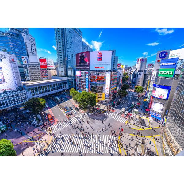 ポストカード カラー写真 日本風景シリーズ 渋谷のスクランブル交差点 105×150mm 東京 観光...