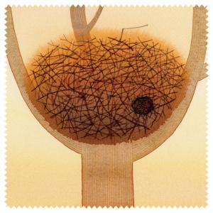 クリーニングクロス 山田和明 モノポの巣 夕暮れ時 190×190mm 大きめ メガネ拭き