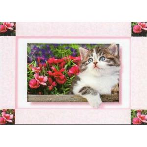 ポストカード カラー写真 子猫と赤い花