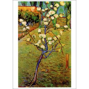 絵画6枚 yujinia-yh_bk4078