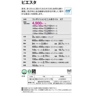 (カットサンプル) コンポジションビニル床タイ...の詳細画像5