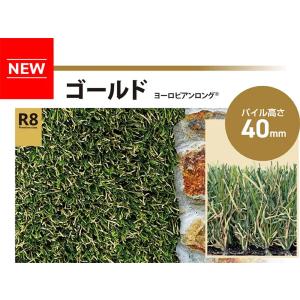 (カットサンプル) 人工芝 リアリーターフ R...の詳細画像2