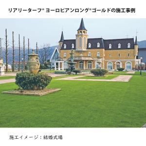 (カットサンプル) 人工芝 リアリーターフ R...の詳細画像3