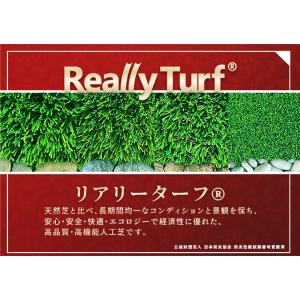 人工芝 リアリーターフ R6 スタンダードクラ...の詳細画像5
