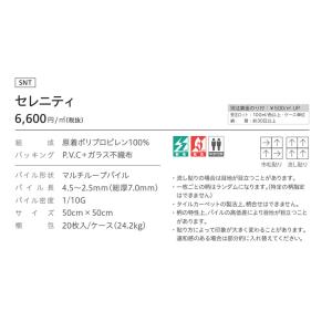 (カットサンプル) タイルカーペット 店舗施設...の詳細画像4