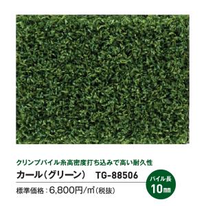 【基本送料無料】 リアル人工芝 トヨグラス カ...の詳細画像1
