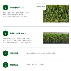 【基本送料無料】 リアル人工芝 トヨグラス カ...の詳細画像5