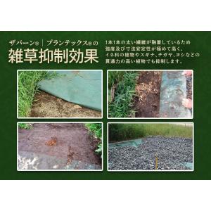 【基本送料無料】 防草シート ザバーン 136...の詳細画像3