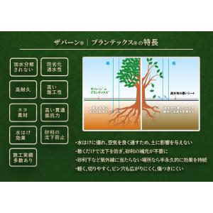 【基本送料無料】 防草シート ザバーン 136...の詳細画像4