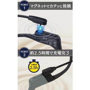 Shokz 充電ケーブル USB Type-C...の詳細画像4