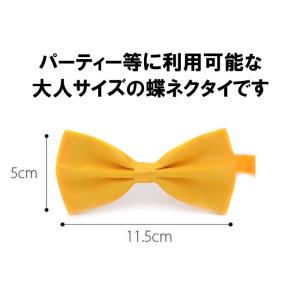 蝶ネクタイ 黄色 イエロー ネクタイ メンズ ...の詳細画像1