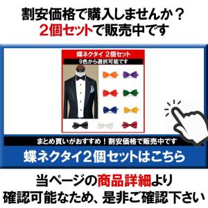 蝶ネクタイ 黄色 イエロー ネクタイ メンズ ...の詳細画像3