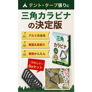 三角カラビナ タープ テント ロープ 6個セッ...の詳細画像1